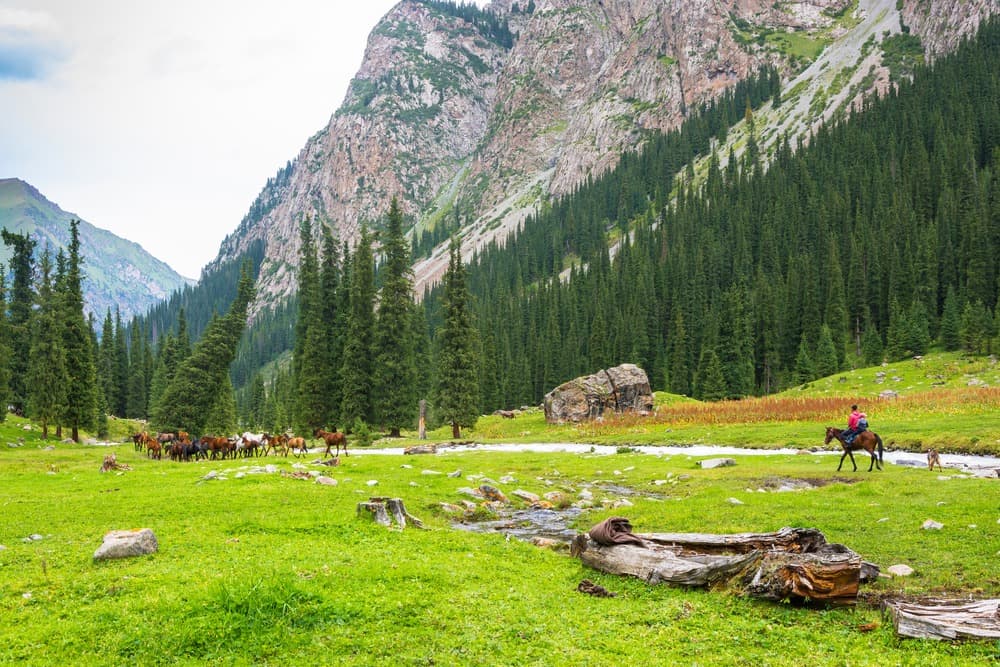 La vallée de Karkara